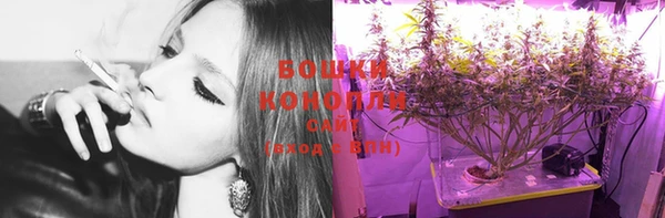 соль ск Вязьма