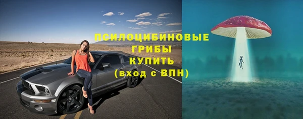 СК Вязники