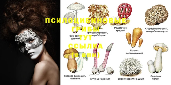 СК Вязники