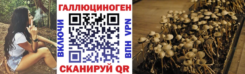 Псилоцибиновые грибы мухоморы  Ефремов 
